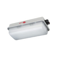 EX-nødlysarmatur Sone 1/21, lede- og markeringslys , sentral drift